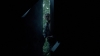 the_100_survivors_4043.jpg