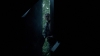 the_100_survivors_4044.jpg