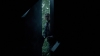the_100_survivors_4046.jpg