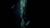 the_100_survivors_4048.jpg