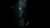 the_100_survivors_4062.jpg