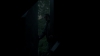 the_100_survivors_4065.jpg