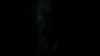 the_100_survivors_4067.jpg