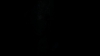 the_100_survivors_4068.jpg