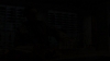 the_100_survivors_4142.jpg