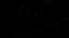 the_100_survivors_4233.jpg