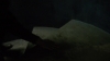 the_100_survivors_4339.jpg