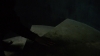 the_100_survivors_4340.jpg