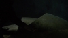 the_100_survivors_4341.jpg