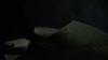 the_100_survivors_4342.jpg