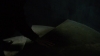 the_100_survivors_4343.jpg
