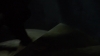 the_100_survivors_4346.jpg