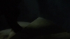 the_100_survivors_4347.jpg