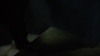 the_100_survivors_4348.jpg