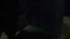 the_100_survivors_4350.jpg