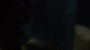 the_100_survivors_4351.jpg