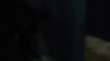 the_100_survivors_4352.jpg
