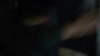 the_100_survivors_4355.jpg