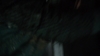 the_100_survivors_4362.jpg