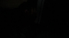the_100_survivors_4403.jpg