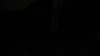 the_100_survivors_4404.jpg