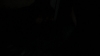 the_100_survivors_4406.jpg