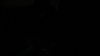 the_100_survivors_4407.jpg
