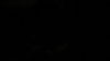 the_100_survivors_4408.jpg
