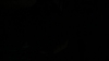 the_100_survivors_4409.jpg