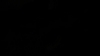 the_100_survivors_4411.jpg