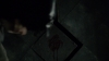 the_100_survivors_4416.jpg