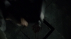 the_100_survivors_4418.jpg