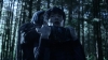the_100_survivors_4900.jpg