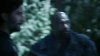 the_100_survivors_4935.jpg
