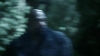 the_100_survivors_4938.jpg
