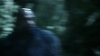 the_100_survivors_4939.jpg