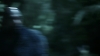 the_100_survivors_4940.jpg