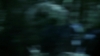 the_100_survivors_4943.jpg
