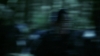 the_100_survivors_4946.jpg