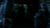 the_100_survivors_4954.jpg