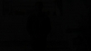 the_100_survivors_5027.jpg