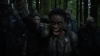 the_100_survivors_5126.jpg