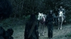 the_100_survivors_5222.jpg