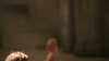 the_100_survivors_5291.jpg