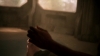 the_100_survivors_5295.jpg