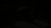 the_100_survivors_5312.jpg