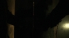 the_100_survivors_5362.jpg