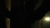 the_100_survivors_5363.jpg