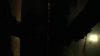 the_100_survivors_5364.jpg
