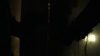 the_100_survivors_5365.jpg